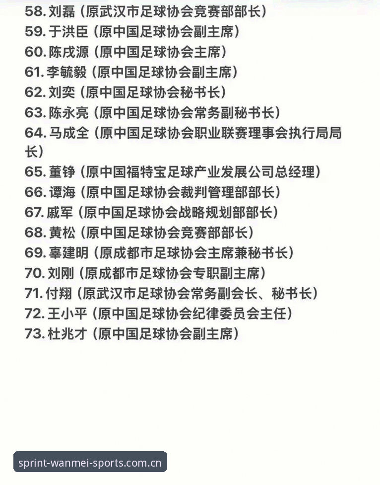 完美体育游戏平台 中国足协第三批禁足名单详解:17人终身禁赛,48人遭重罚